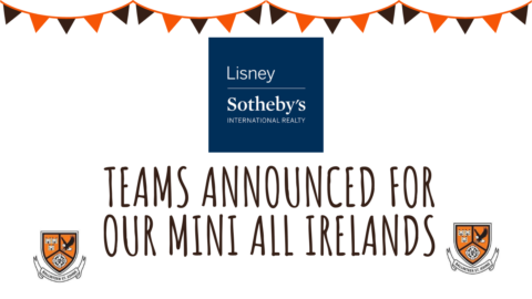 Teams Announced for our Mini All Irelands!