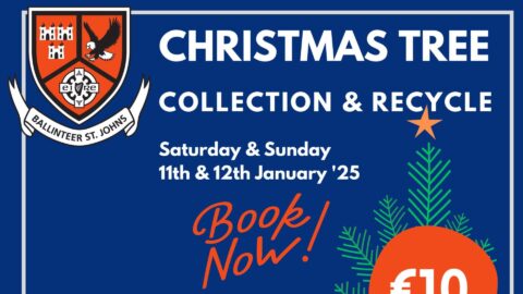 Féile Fundraiser – Christmas Tree Collection